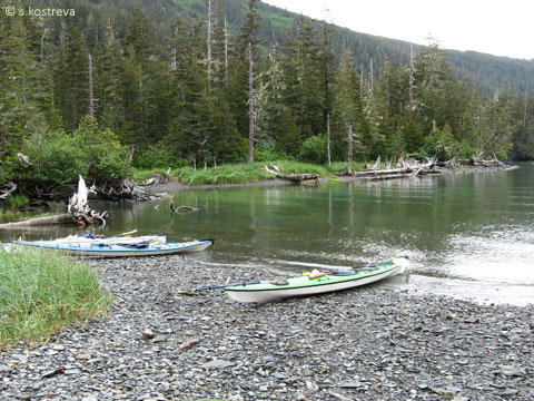 Shotgun Cove Evening Tour